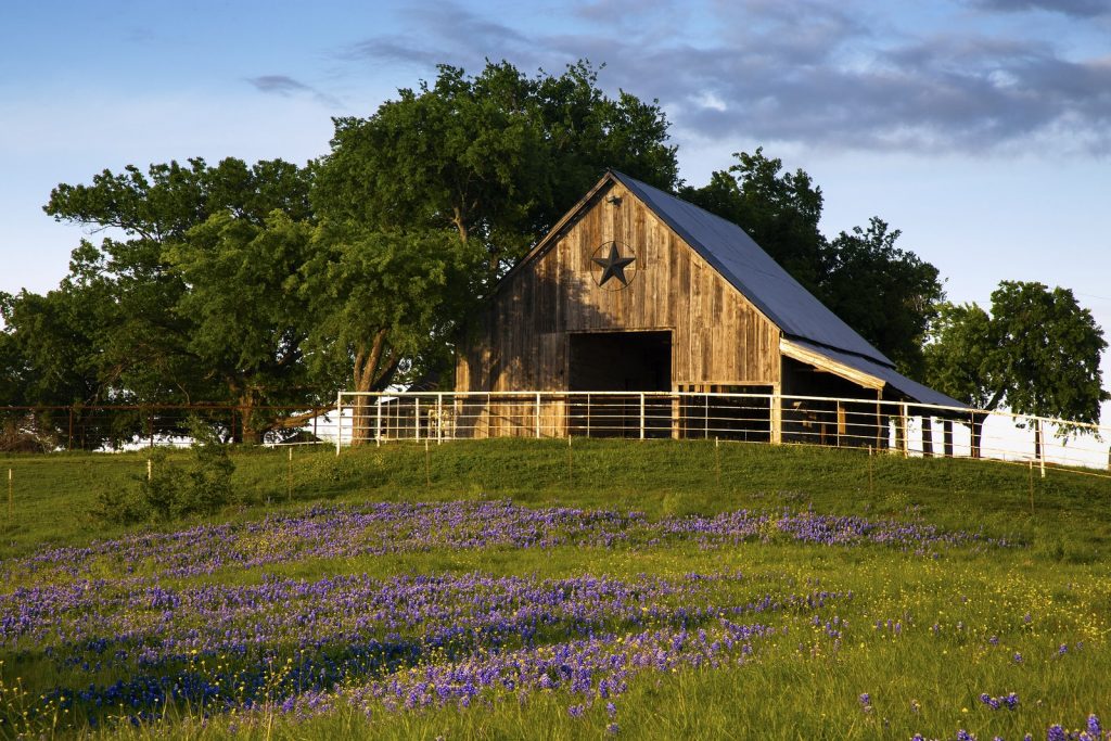 Bluebonnet Trail Barn